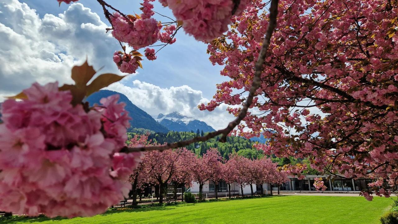 Haus Weidau Apartamento Berchtesgaden Exterior foto